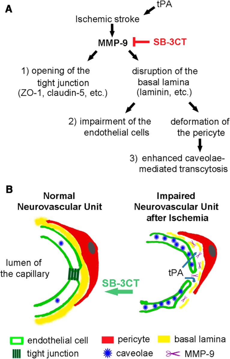 Figure 7.