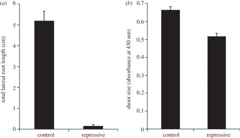 Figure 1.