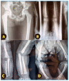 FIGURE 1:
