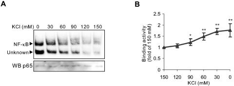 FIG. 6.