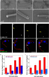 Fig. 6.