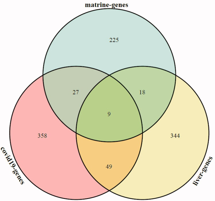 Figure 3.