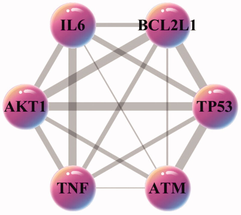 Figure 6.