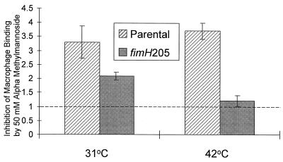 FIG. 6