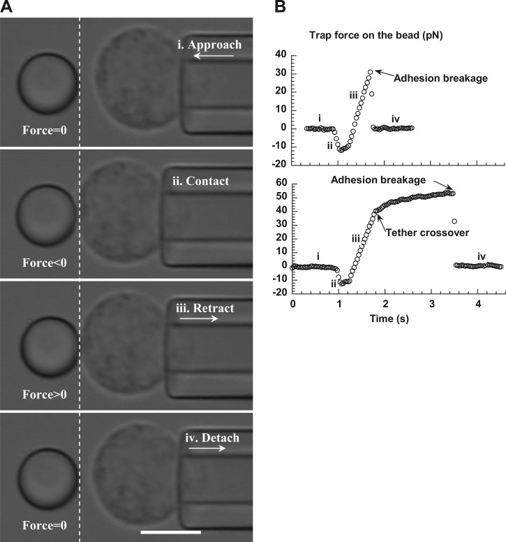 Fig. 2.