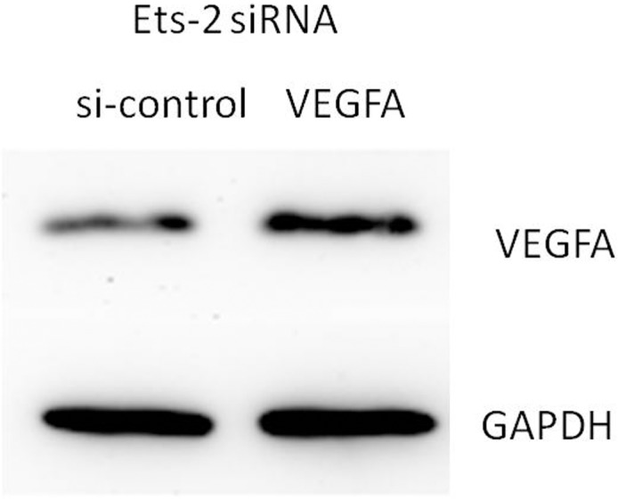 Fig 12