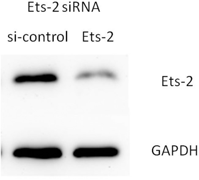 Fig 11