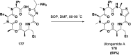 Scheme 27