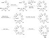 Scheme 25