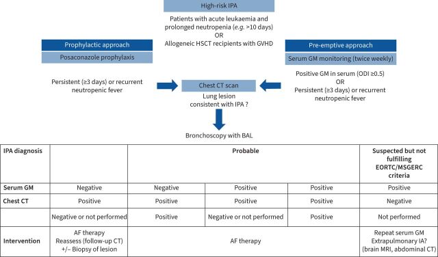 Pulmonary aspergillosis: diagnosis and treatment - PMC