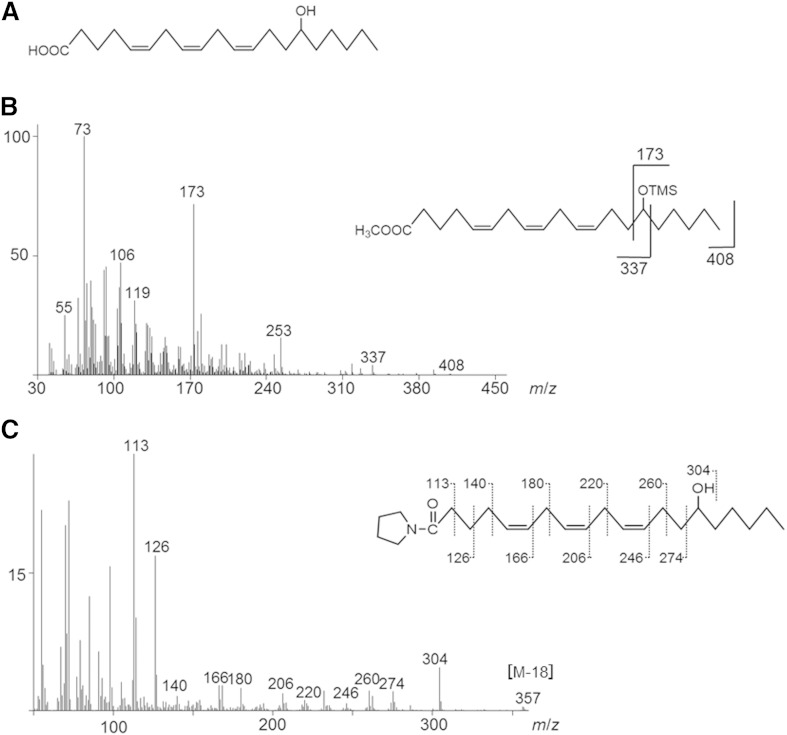 Fig. 8.