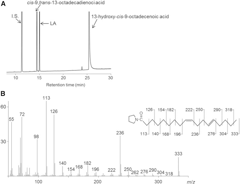 Fig. 9.