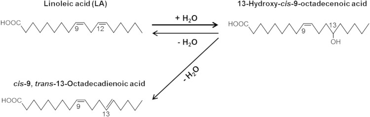 Fig. 10.