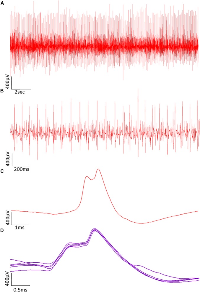 FIGURE 2