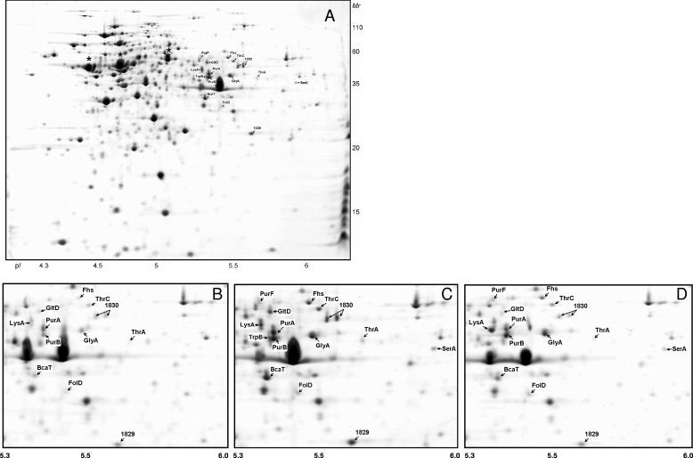 FIG. 2.