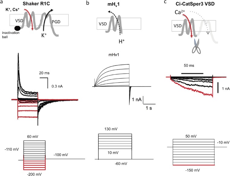 Figure 7. 