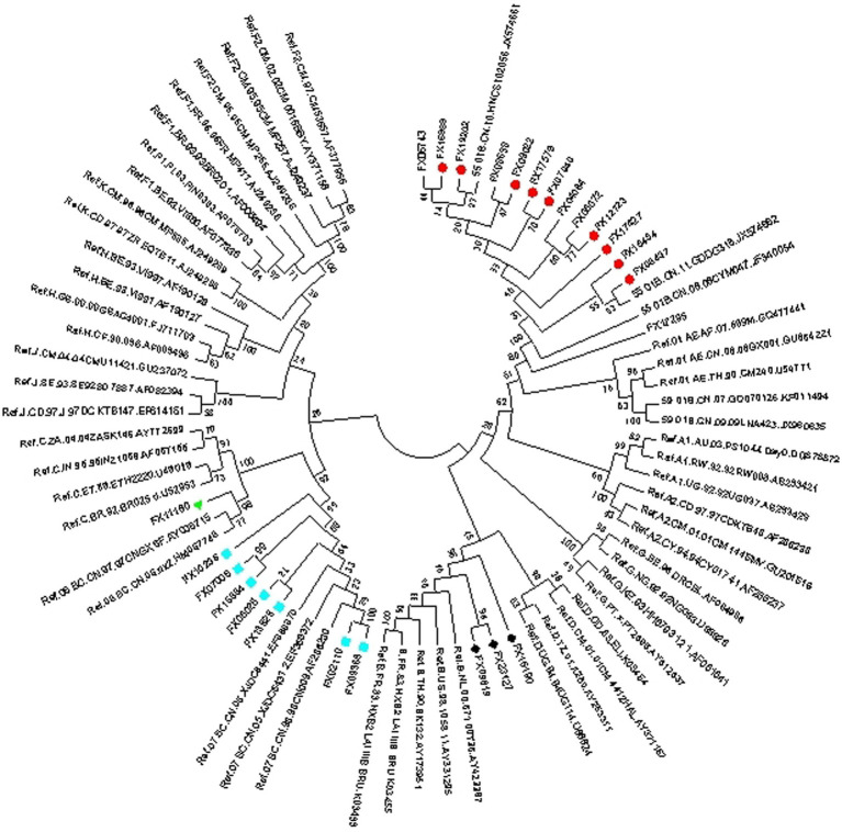 Figure 2