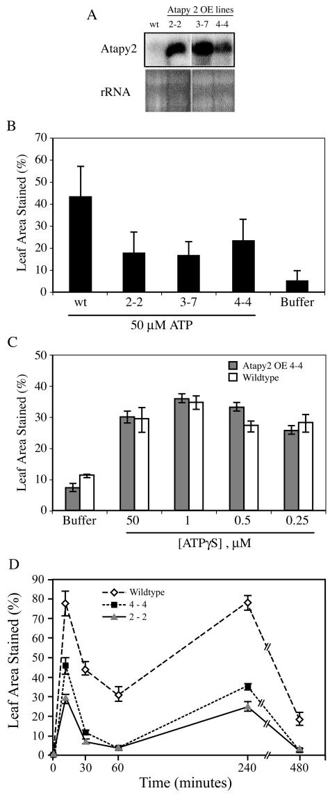 Figure 3.