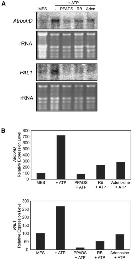 Figure 6.