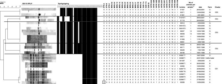 FIG. 2.