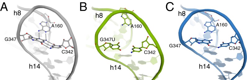 Fig. 3.