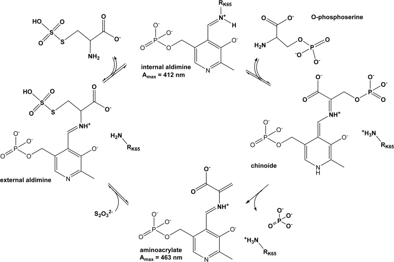 FIG 2