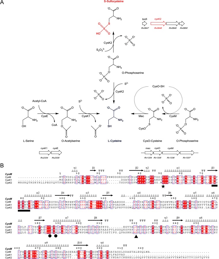 FIG 1