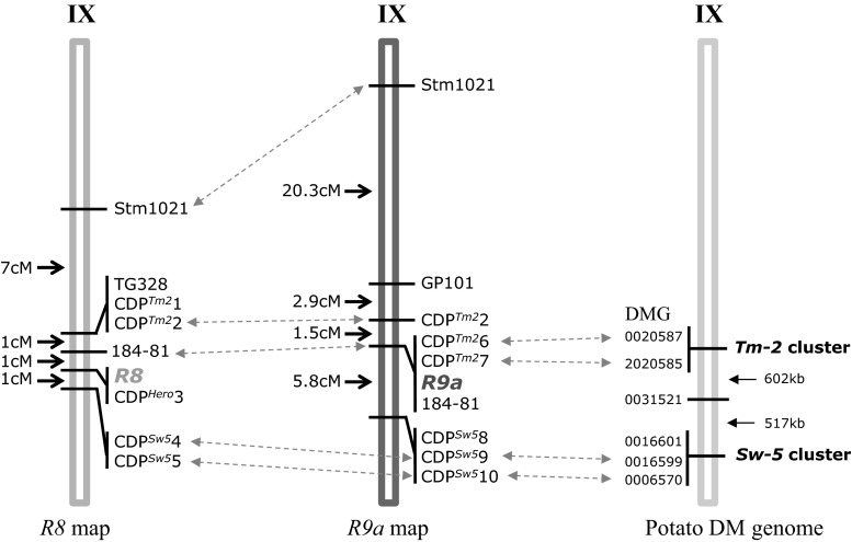 Fig. 1