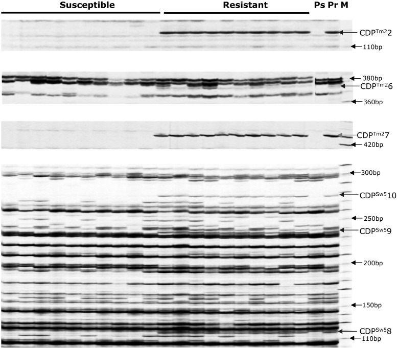 Fig. 2