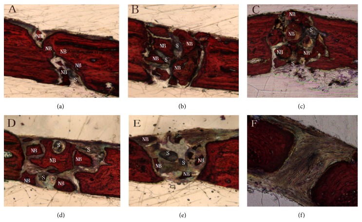 Figure 5