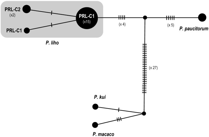 Fig. 7.