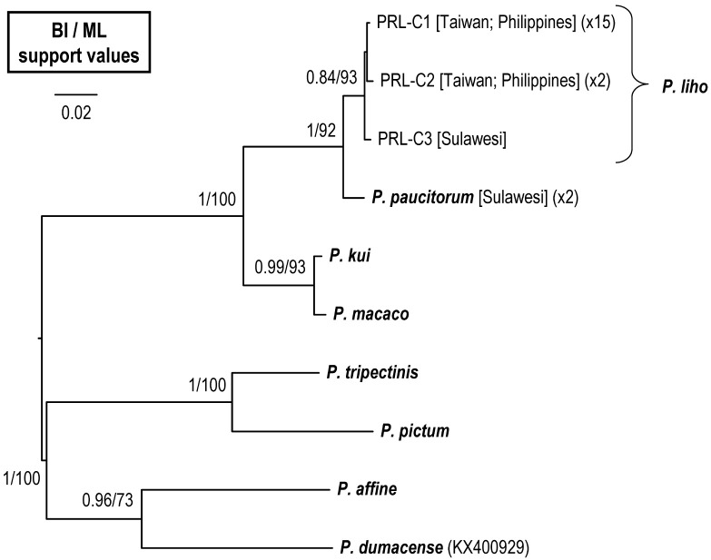 Fig. 6.