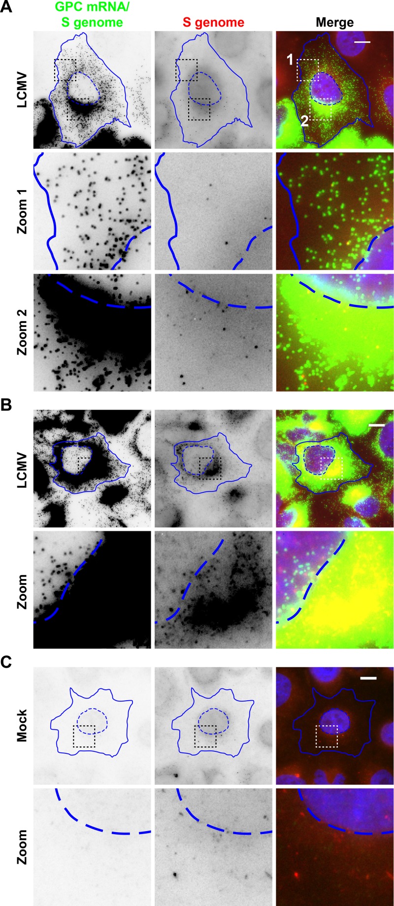 FIG 2