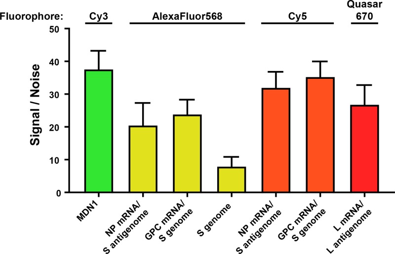 FIG 3