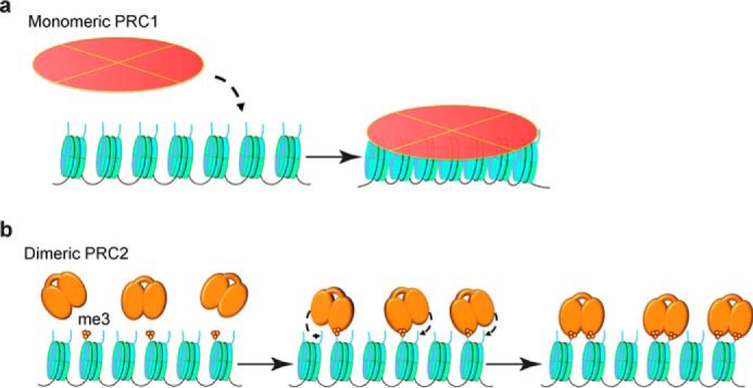 FIGURE 10.