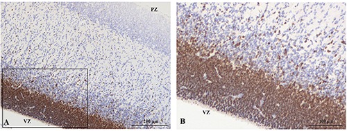 Figure 10.