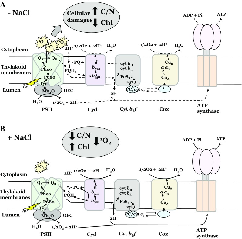 Fig. 6