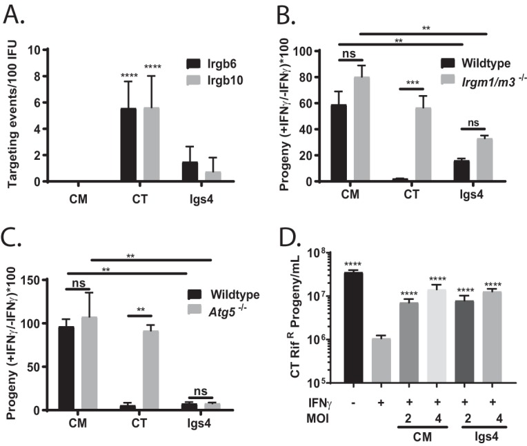 FIG 3