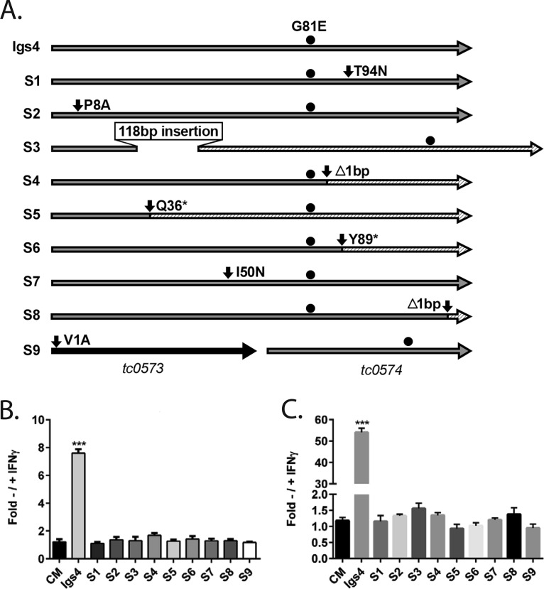 FIG 2