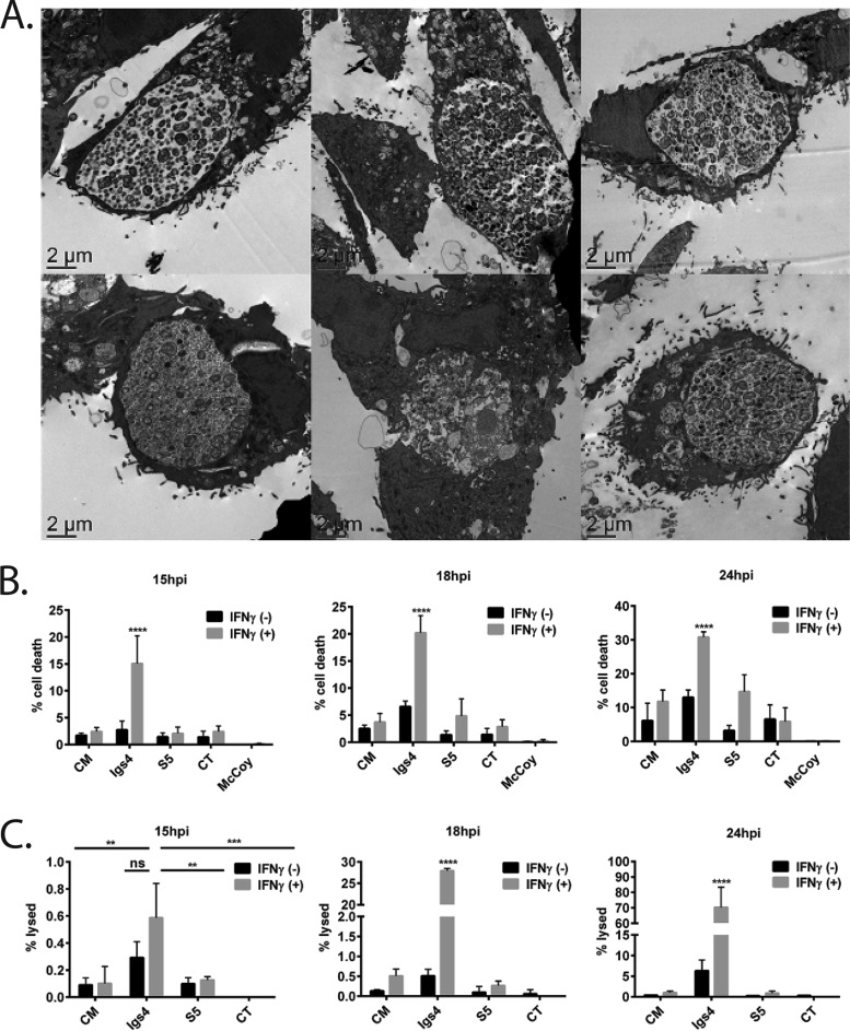 FIG 6