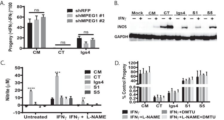 FIG 4