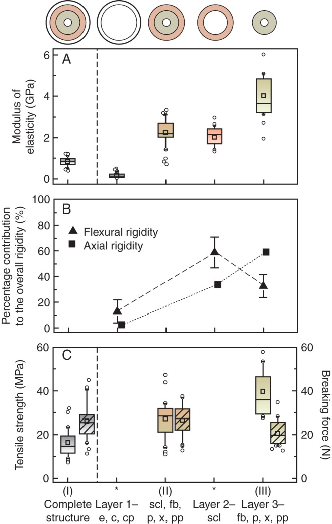 Fig. 5.