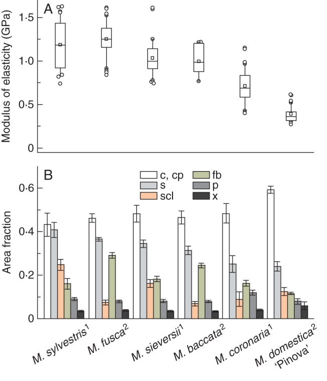 Fig. 2.