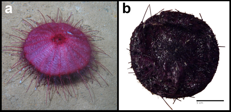 Figure 166.