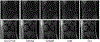 Figure 12: