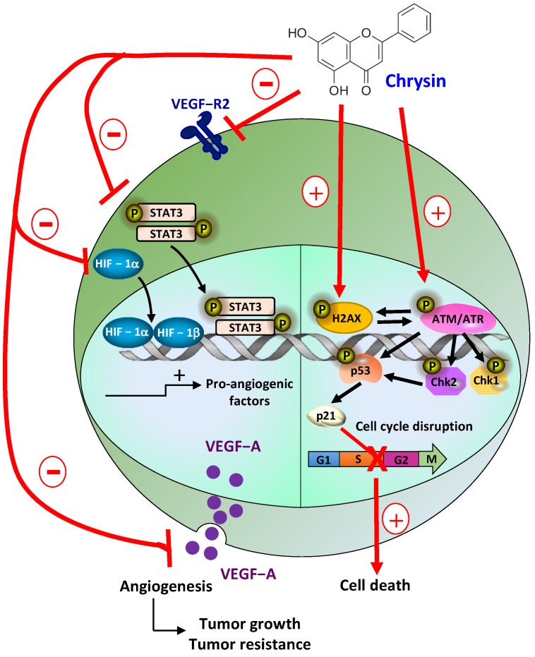 Figure 13