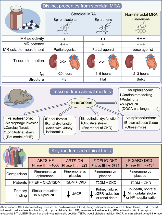 graphic file with name 125_2023_6031_Figa_HTML.jpg