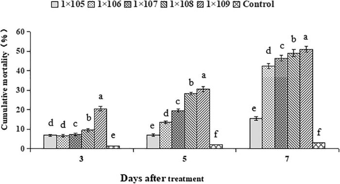 FIGURE 3