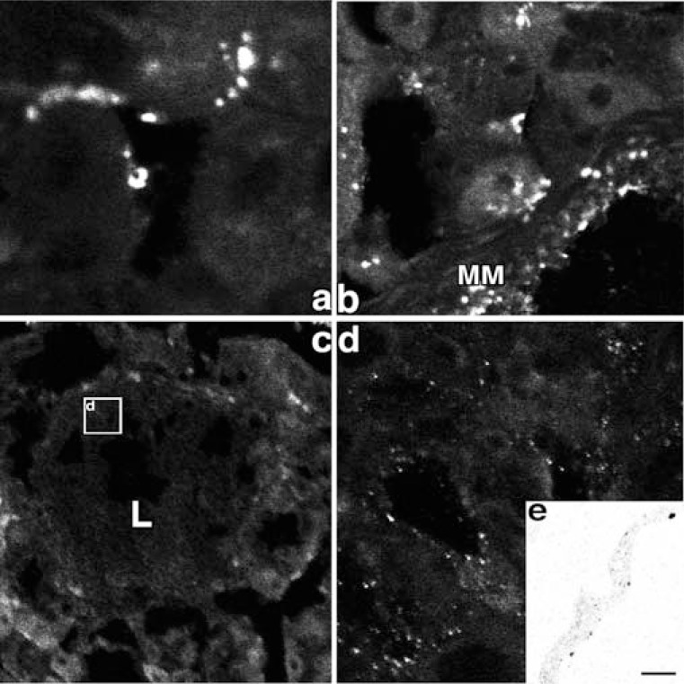 Fig. (4)