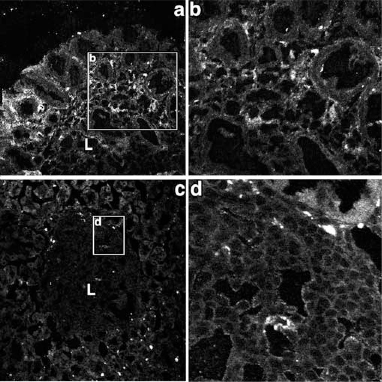 Fig. (5)